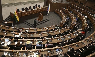 El pleno de la Cámara de Diputados debe aprobar el reglamento de preselección.
