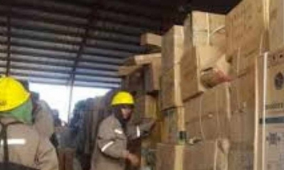 Control de importaciones por Senasag