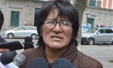 Diputada María Calcina/Foto. RRSS