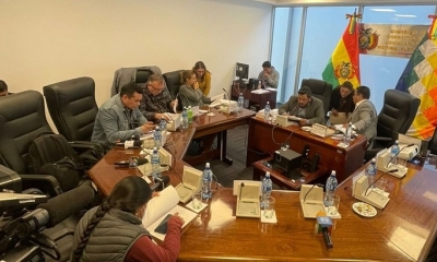 Una anterior sesión de la Comisión de Constitución de la Cámara de Diputados, dirigida por su presidente, el legislador del MAS Juan José Jauregui.
