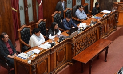 Senado de Bolivia/Foto. RRSS