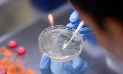 China ya había anunciado que estaba probando en Emiratos una vacuna desarrollada conjuntamente por los Institutos de Productos Biológicos 