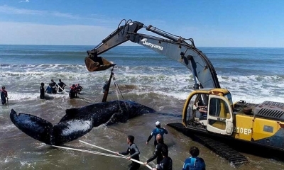 Imagen Referencial. Foto: RT