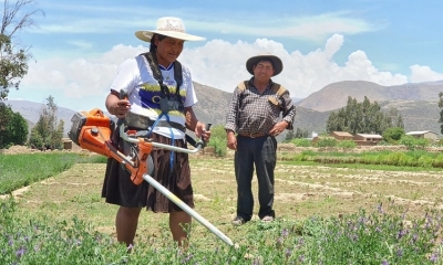 Participación de mujeres en la producción agropecuaria