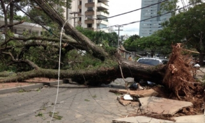 IMAGEN REFERENCIAL/ Foto. Internet