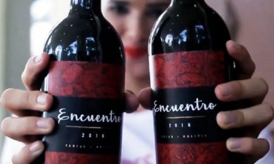 Vino Encuentro/Foto. Kreab
