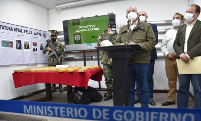 El ministro de Gobierno, Arturo Murillo