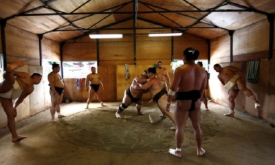 La preparación y el entrenamiento que padecen los luchadores del deporte nacional del país asiático ha causado muertes por su excesiva violencia