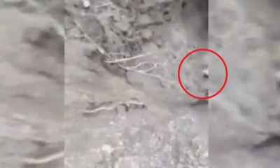 Se desconoce la situación de los pasajeros/Foto. Captura de pantalla 