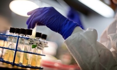 Medicamento contra el cáncer provoca una disminución 