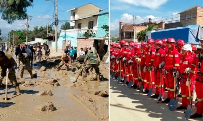También recordó que existe un albergue, a donde se pueden llevar las mascotas rescatadas.