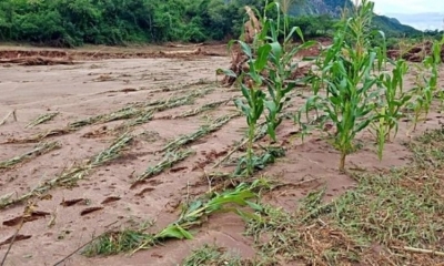 Más de 300.000 hectáreas de cultivos dañadas por las inundaciones en Bolivia.