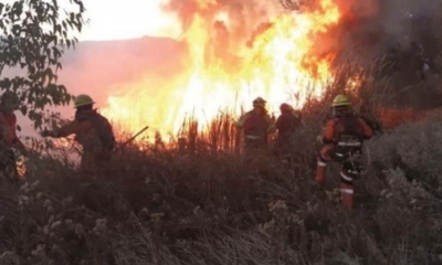 Recordó que en 2022 se registraron 400.000 focos de calor y, en 2021, 370.000. 