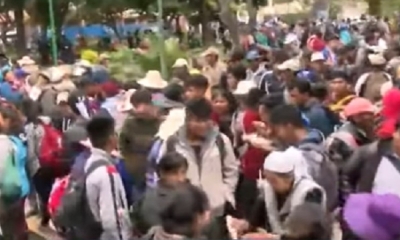 Proclamaran a Evo Morales como presidente electo/Foto. Captura de pantalla