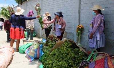Productores de flores en Quillacollo. 