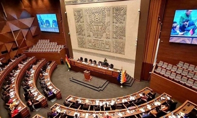 Asamblea Legislativa Plurinacional (ALP)