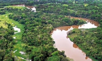 Siete pandemias amenazan de muerte a la Amazonia