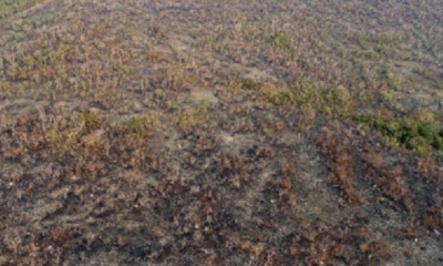 La amazonia está en peligro/Foto. RRSS