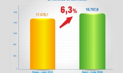 Datos del SIN