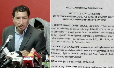 El diputado del MAS, Víctor Borda