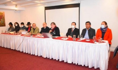 El grupo de juristas que presentó la propuesta judicial. | APG