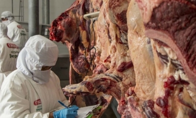 Foto/ Archivo: El país exporta carne bovina a varios países. 