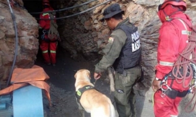 La Felcc de La Paz descartó esta jornada que el niño haya sido sacrificado.