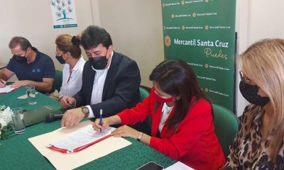 Se estima entre 4 y 5 cirugía por día a lo largo de la campaña gratuita
