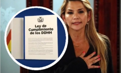 La ley debe ser promulgada por la presidenta interina, Jeanine añez, para entrar en vigencia.