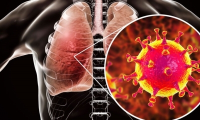 Imagen del coronavirus.