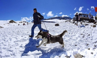 Una persona pasea a su perro husky siberiano, ayer en el cruce de Morochata y Misicuni, donde se regocijó con la nieve. foto: Los Tiempos