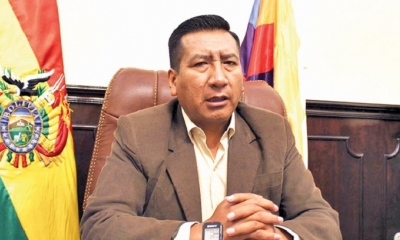 El presidente de la Cámara de Diputados Freddy Mamani.