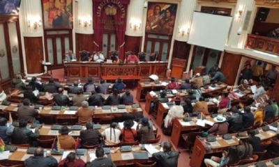Asamblea Legislativa Plurinacional (ALP)