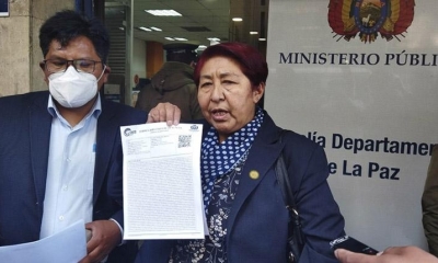 La viceministra de Educación Superior, Aurea Balderrama. | APG