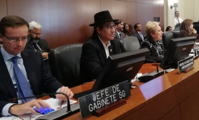 Diego Pary en la OEA/Foto. ABI
