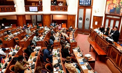 La Asamblea Legislativa Plurinacional 