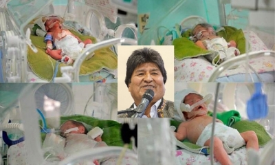 La madre de los bebés murió por una falla multiorgánica/Foto. RRSS