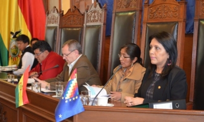 La ministra López en el Senado: Foto: Senado