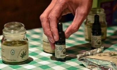 Nueva ley que regula el uso medicinal del cannabis establece que se realice un registro de pacientes. 