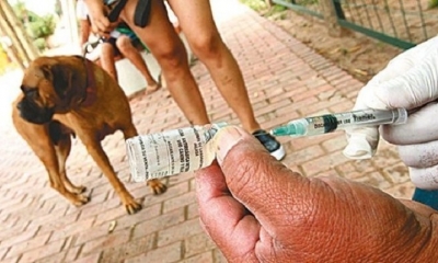 Imagen Referencial. Foto: Internet