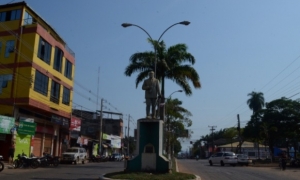Pando