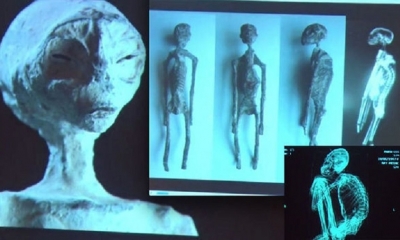 Los cinco cuerpos fueron hallados en Nazca y tendrían 1.700 años de antigüedad