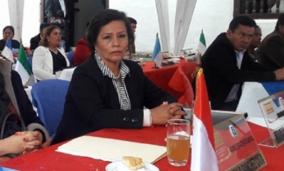 Asambleísta María Elena Méndez/Foto. RRSS