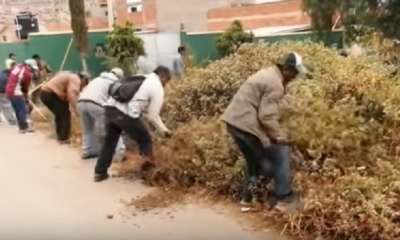 Comunarios aplaudieron el castigo a los arrestados/Foto. Captura de pantalla 