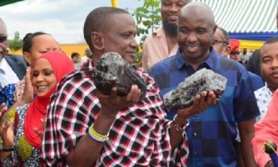 Las rocas fueron adquiridas por el ministerio de Finanzas y el Banco de Tanzania. | Fuente: Ministerio de los minerales de Tanzania