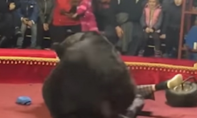 Un colega intentó ayudar del ataque mortal/Foto. Captura de pantalla