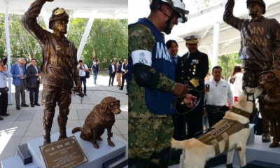 Frida, ayudó en dos sismos el 2017/Foto. RRS 