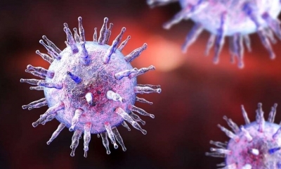 Ilustración del virus de Epstein-Barr. Este virus se transmite principalmente a través de la saliva, por ejemplo, al besar o beber del mismo vaso.