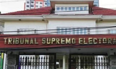 El Tribunal Supremo Electoral (TSE)
