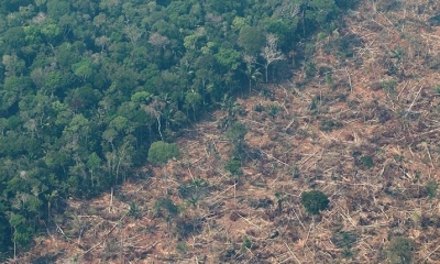 La deforestación en la Amazonía brasileña. Archivo | Internet